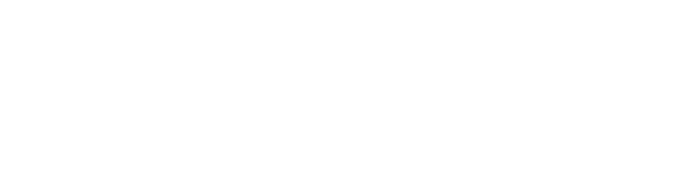 Lupo Agency